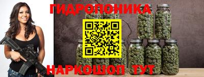 амф Краснознаменск