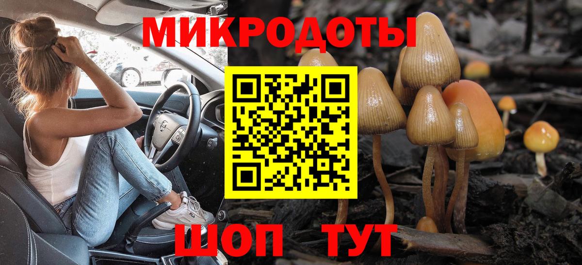 Комсомольск-на-Амуре  Псилоцибиновые грибы Psilocybe  Вход с VPN  Псилоцибиновые грибы GOLDEN TEACHER 